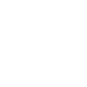 Evolux Consulting
